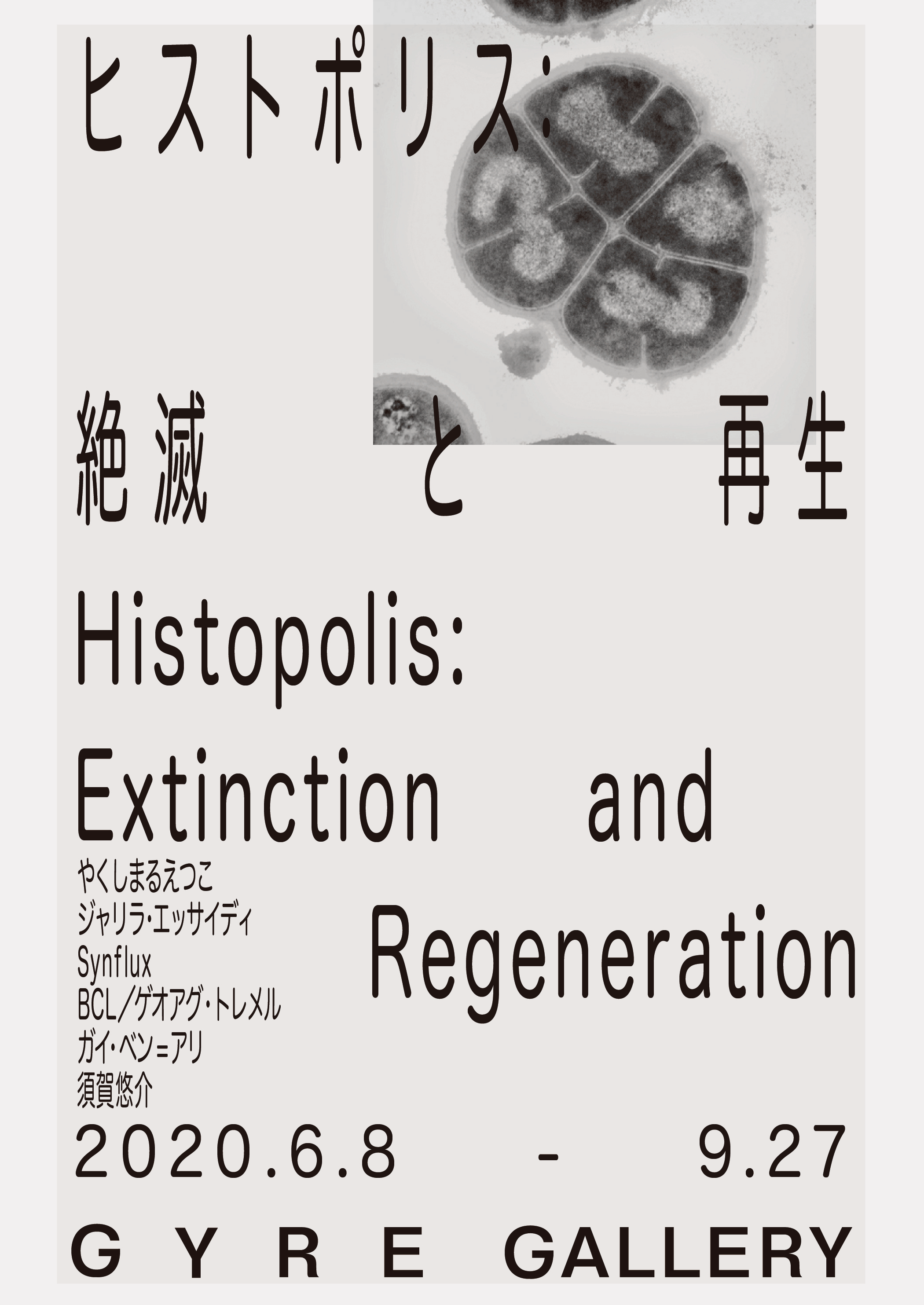 Histopolis_chirashi_omote.png?